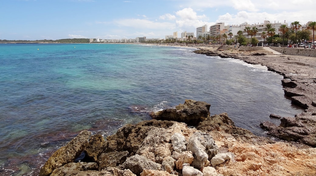 Exploring Mallorca's Coastal Beauty: Scenic Drives from Son Servera