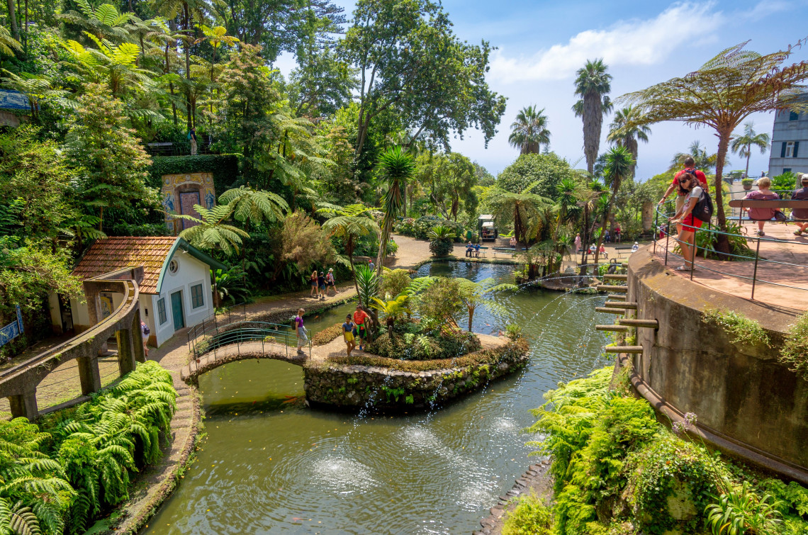 Exploring the Stunning Coastal Views of Madeira: Scenic Drives from Funchal