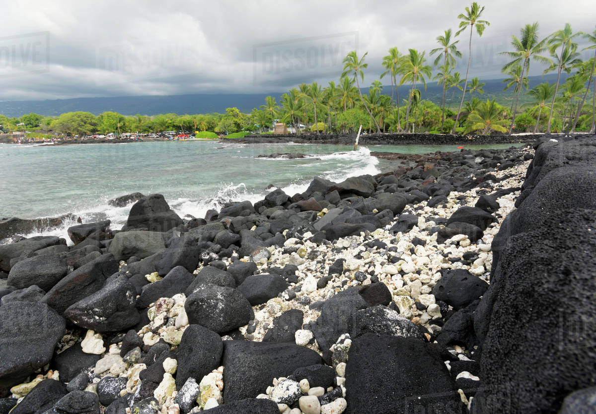 Discovering Hilo's Hidden Gems: Tourist Attractions and Local Hotspots by Car