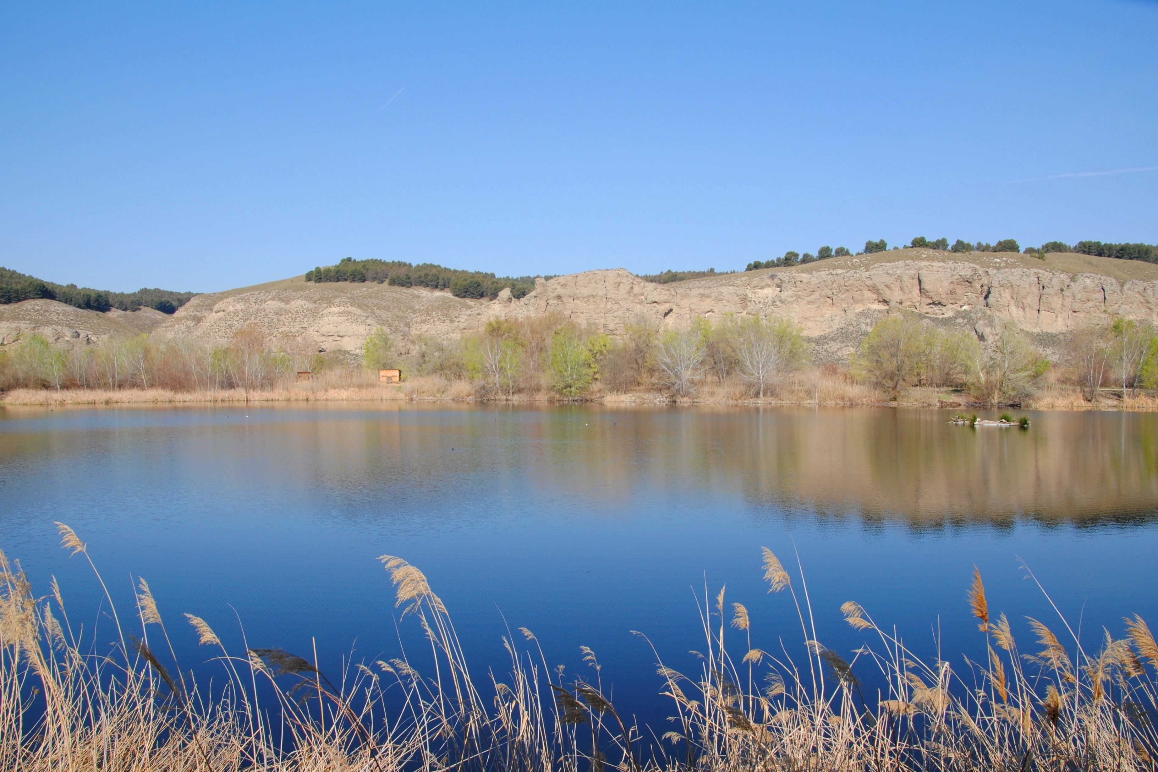 Uncovering Rivas-Vaciamadrid's Best-Kept Secrets: Local Hidden Gems to Explore with Our Rental Cars