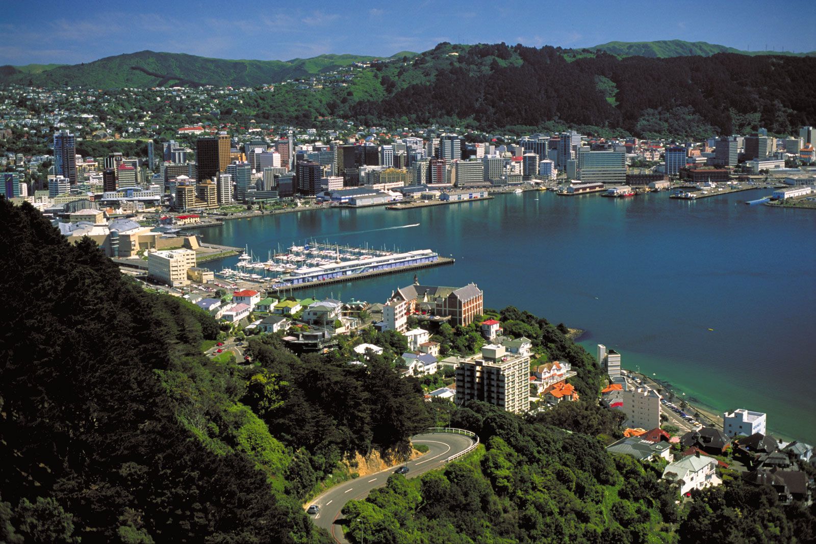Exploring Hidden Gems in the Wellington Region by Car