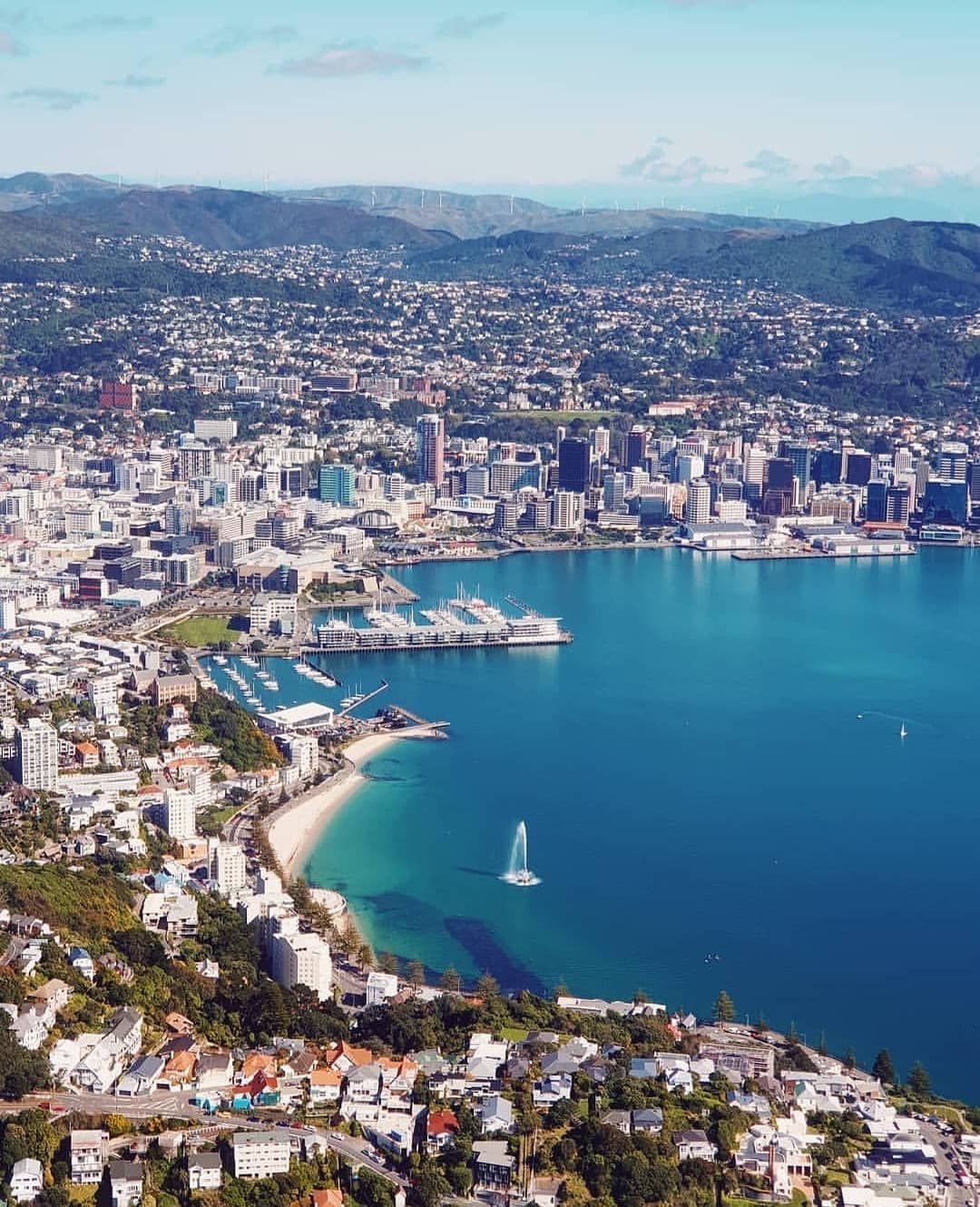 Exploring the Stunning Coastline: Scenic Drives from Wellington with Our Rental Cars